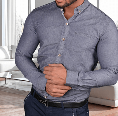 اندامی مجلسی