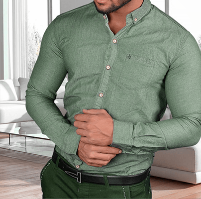 اندامی مجلسی